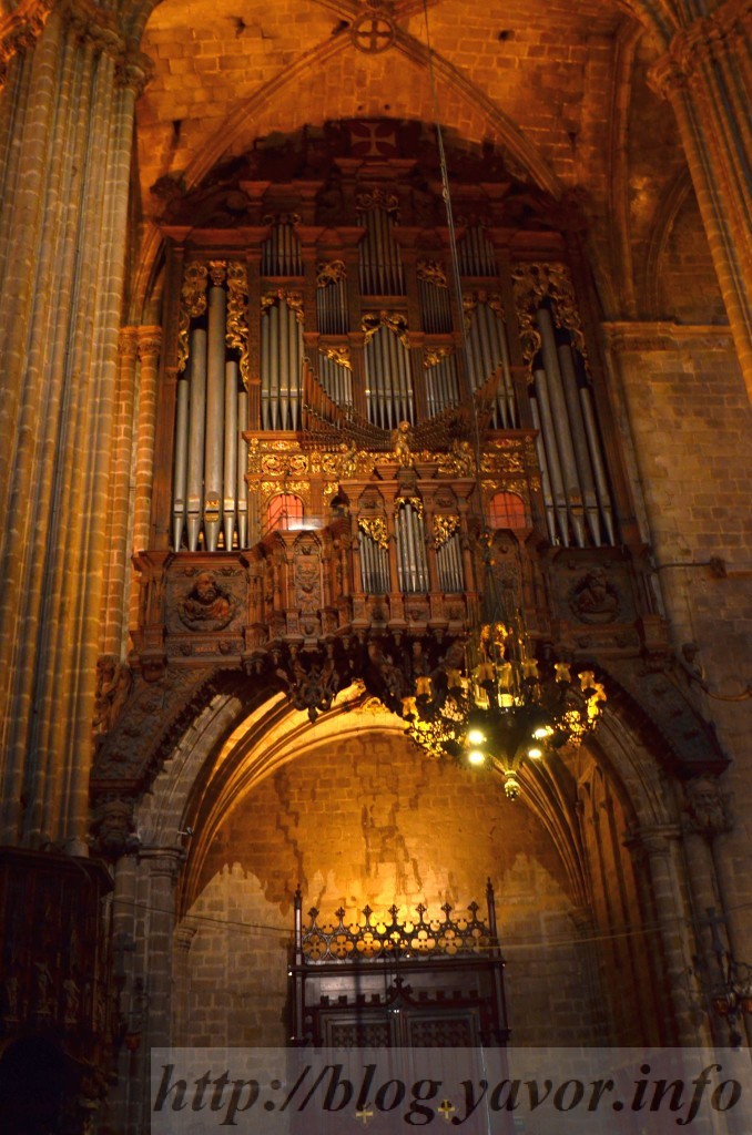 bcn_d5_09